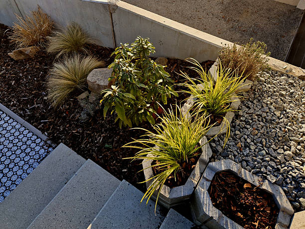 istock Plastic tiles with perforations and locks are suitable for building roads and parking lots. Stones line a permeable gravel path in a garden with perennials and mulching bark on a slope 2207293358