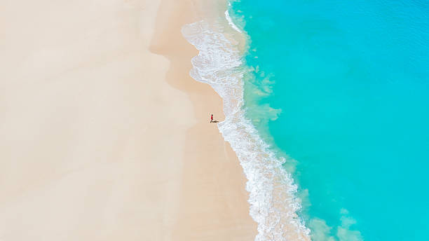 istock Idyllic summer seascape with foamy blue waves lapping onto a pristine white sand beach. summer background and summer holiday concept. 2207294046