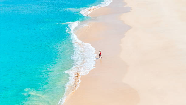 istock Peaceful summer beach scene with blue ocean waves breaking softly on pristine white sand. summer background and summer holiday concept. 2207294360