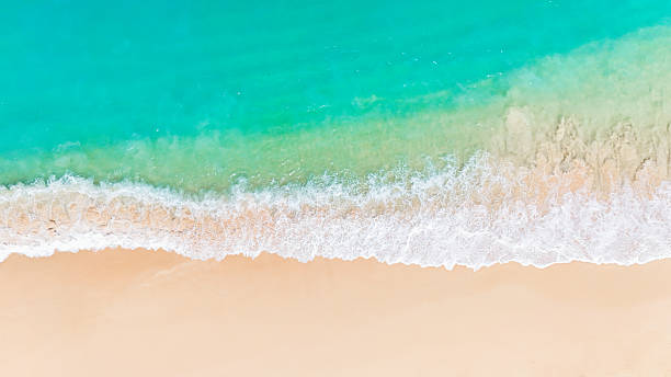 istock A tropical paradise with blue sea waves softly crashing onto a smooth white sandy beach. 2207294685