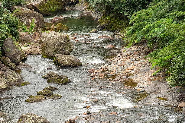 Close-up of clear water flowing through pebbles in stream
