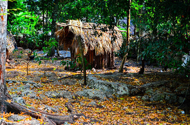 istock Rustic Wooden Hut in a Forested Area 2207295557