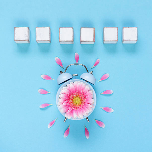 istock alarm clock with daisy flower and 6 empty wooden dice for text 2207300027