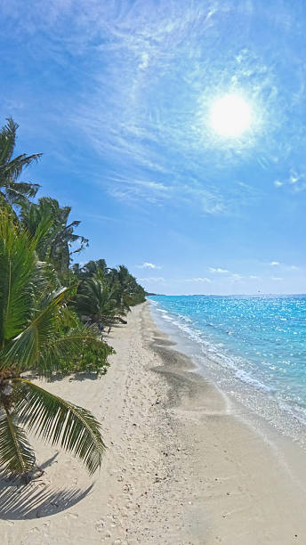 istock A beautiful beach with palm trees and a clear blue sky in dhigurah maldives 2207301136