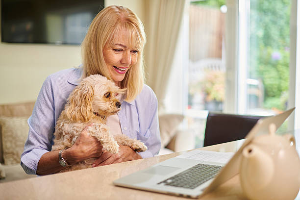 istock shopping for pet insurance 2207301403