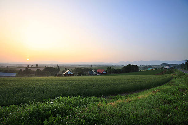 istock Twilight Over Rural Landscape with Distant Lights, Biei, Hokkaido, Japan 2207302337