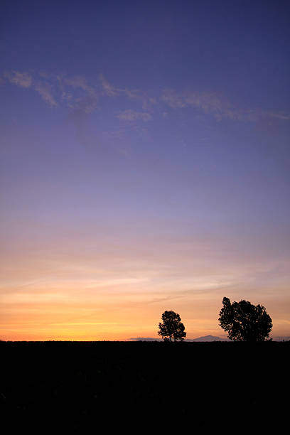 istock Twilight Tranquility Over Biei's Gentle Horizon, Patchwork Road, Hokkaido, Japan 2207303017