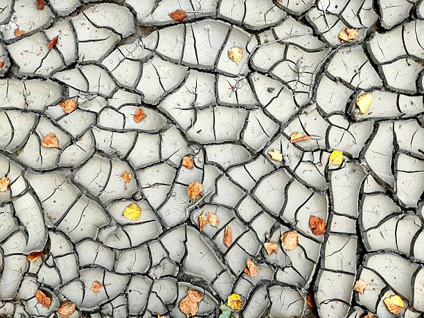 istock Background of dried cracked earth, dirt. Copy space for text. Ground texture, soil 2207303224