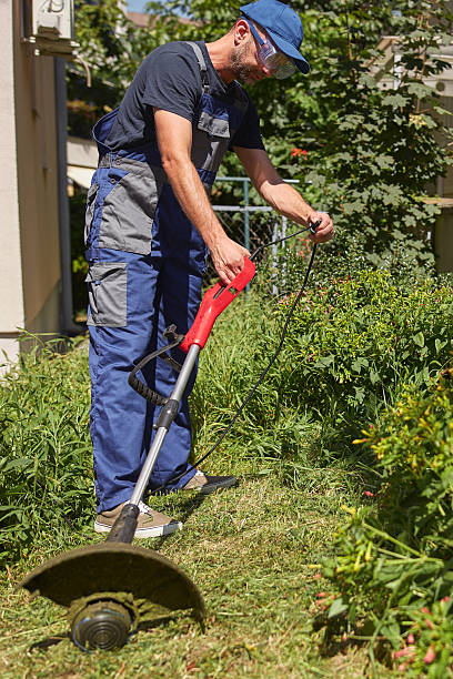 istock Gardener with a grass trimmer cutting overgrown grass and weeds 2207303742