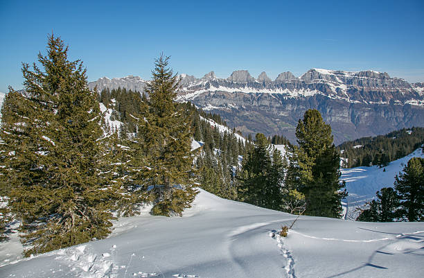 Winter landscape with Churfirsten mountain range at Flumserberg, Swiss Alps