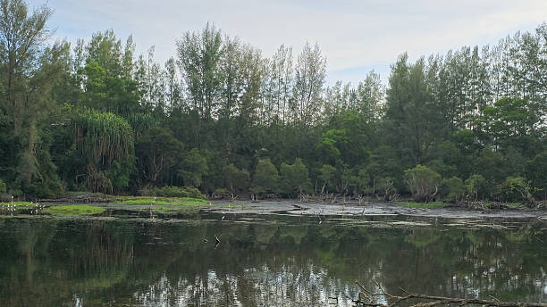 istock Beautiful lake in Thailand. 2207306112