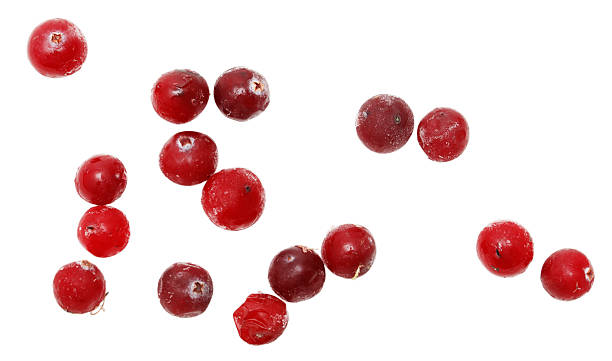istock A bunch of red berries are scattered across a white background 2207306140