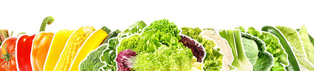 istock Various Vegetables with Outline on white Background - Panorama 2207306246