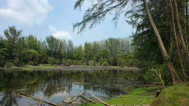 Beautiful lake in Thailand.