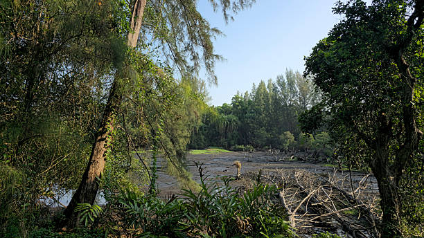 istock Beautiful lake in Thailand. 2207306446