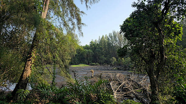 istock Beautiful lake in Thailand. 2207306480
