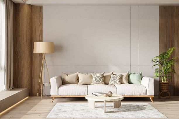 istock Modern Living Room Interior With Sofa, Floor Lamp, Potted Plant, Coffee Table And Blank Wall 2207308018