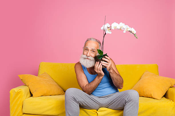 A cheerful senior man on a bright yellow couch with a pink background, holding an elegant white orchid.