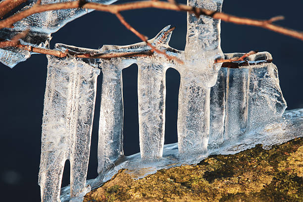 Translucent icicles dangle from branches above a frozen river, capturing the sunlight in a serene winter setting.