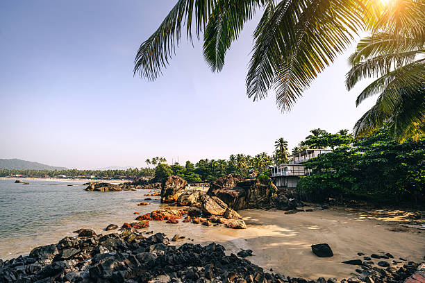 istock Serene Beach in Goa with Palm Trees and Scenic Rocks Under Sunlight 2207313176