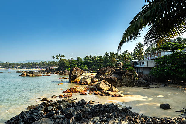 istock Scenic Beach with Palms and Rocks in Goa, India under Clear Blue Sky 2207313185