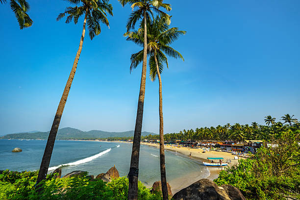 istock Scenic Beach View in Goa Framed by Tall Palm Trees 2207313299