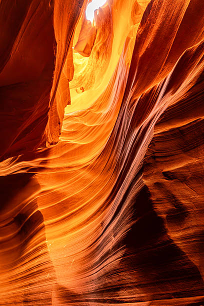 Arizona's Antelope Canyon displays graceful sandstone formations. The soft interplay of light and shadow through its narrow passage reveals extraordinary textures and vibrant orange-red hues.