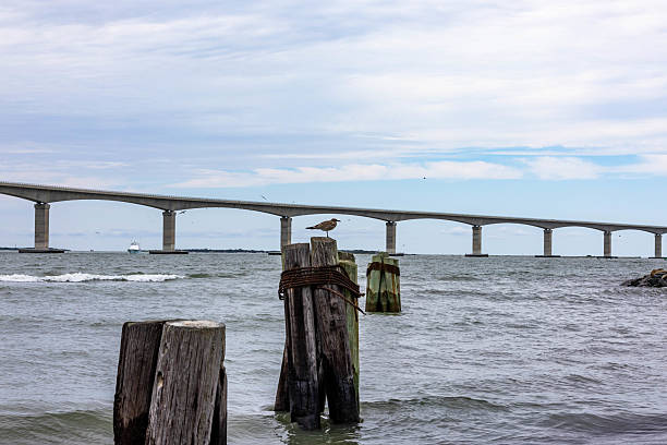 istock Seagull at the coast standing on a pier by a bridge 2207317729