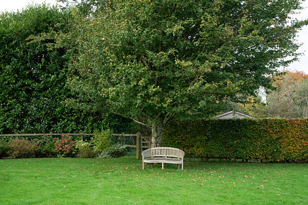 istock Lonely Bench in a Park Surrounded by Autumn Trees 2207318729