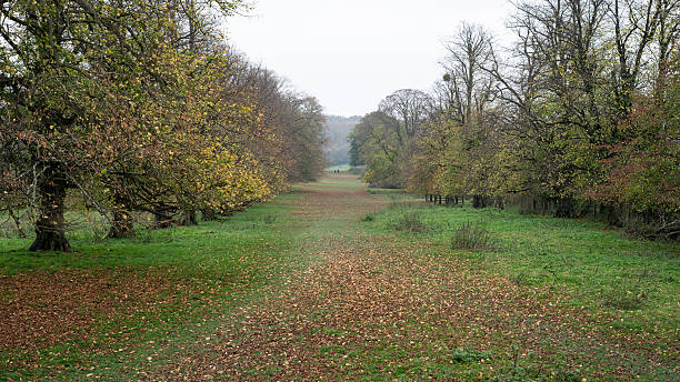 istock Panorama of a Countryside Landscape with Autumn Mood 2207319002