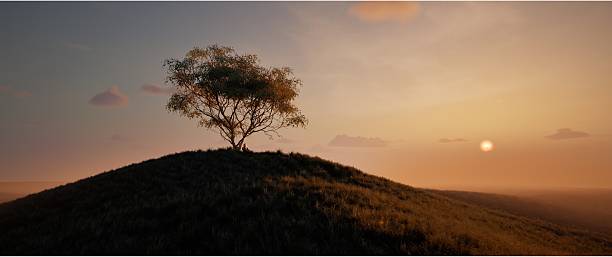 Isaac Newton Sitting under a tree, talks about gravity, story of formulation of the law of universal gravitation. stock photo