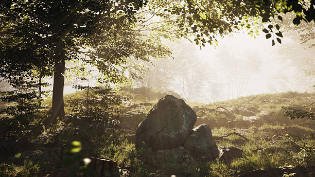 istock A serene 3D animation of a deciduous forest, featuring towering oak trees with moss-covered trunks. 2207321995