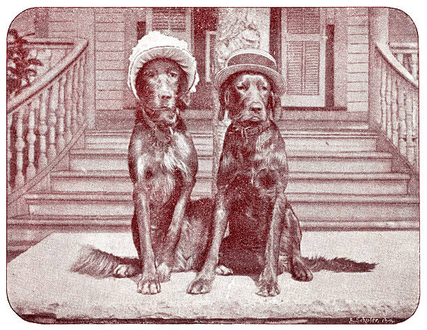 Illustration from 19th century.