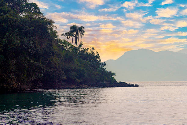 Tropical Coastal Landscape with Lush Greenery and Vibrant Sunset Sky