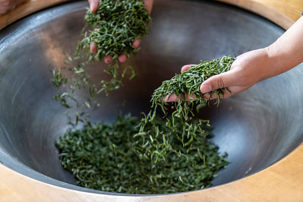 istock Traditional Chinese tea making techniques involve workers stir frying freshly picked green tea in iron pots 2207339990