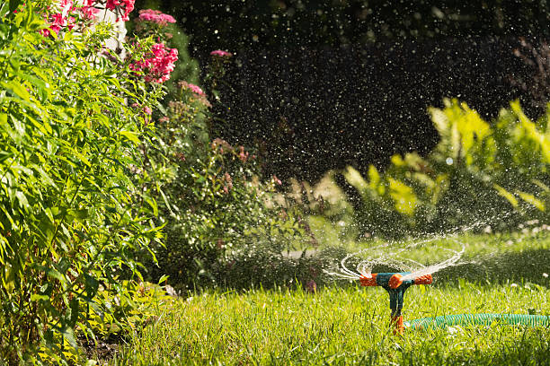 istock Green lawn automatic irrigation system in park. Watering lawn at heat summer. 2207343263