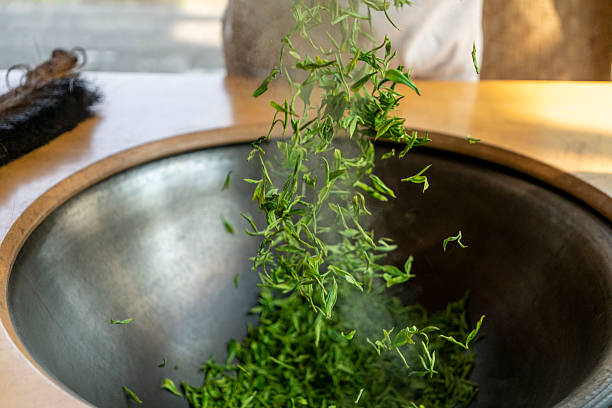 Traditional Chinese tea making techniques involve workers stir frying freshly picked green tea in iron pots
