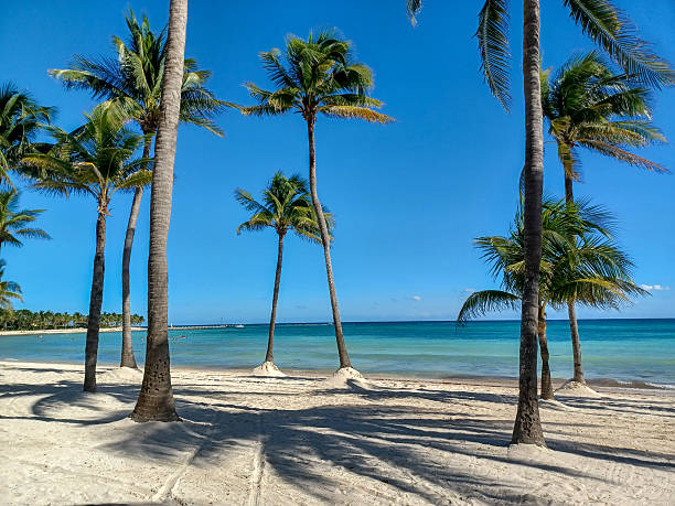 istock Playa del Car beach view 2207354999