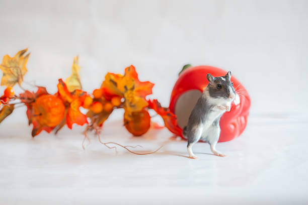 Adorable pet hamster relaxing on miniature beach chair, enjoying summer vacation atmosphere with houseplant