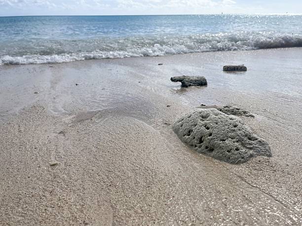 Ocean Waves Splashing Along the Empty Rocky Beach Shoreline in Singer Island, Florida.
