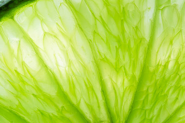 istock Macro lemon texture,Close-up macro lemon texture,texture of lime fruit background close-up macro. Fruit in water under water 2207358519