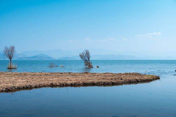 istock Tranquil lake wetland scenery 2207359388