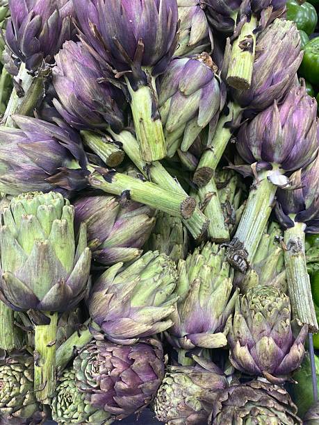 The beautiful view of the amazing vegetable