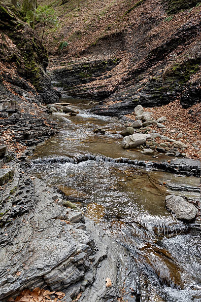 istock Wild river, stream in a pine forest among rocks. Natural stream in rocky mountains in pine forest .Primitive nature. 2207366301