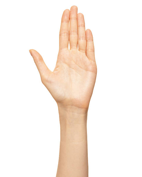 istock Elegant female palm or wrist isolated on white. Back view 2207371720