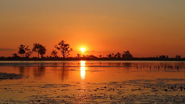istock Safari Sunset over the river 2207372298