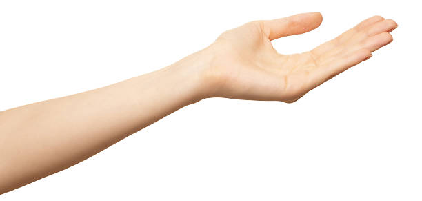 istock Outstretched empty female hand. Woman hand gesturing isolated on white background. Part of series open palm presenting invisible object. Female arm showing present. 2207373014