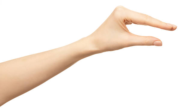 istock Woman hand holding invisible object isolated on white background 2207373300