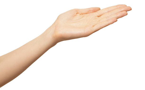 istock Empty female woman hand presenting object isolated on white 2207373687
