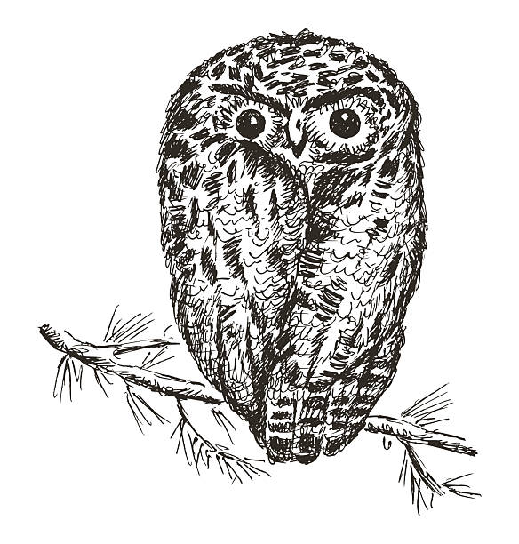 istock Sketch of one cartoon cute owl sitting on branch, vector hand drawn illustration isolated on white 2207377638